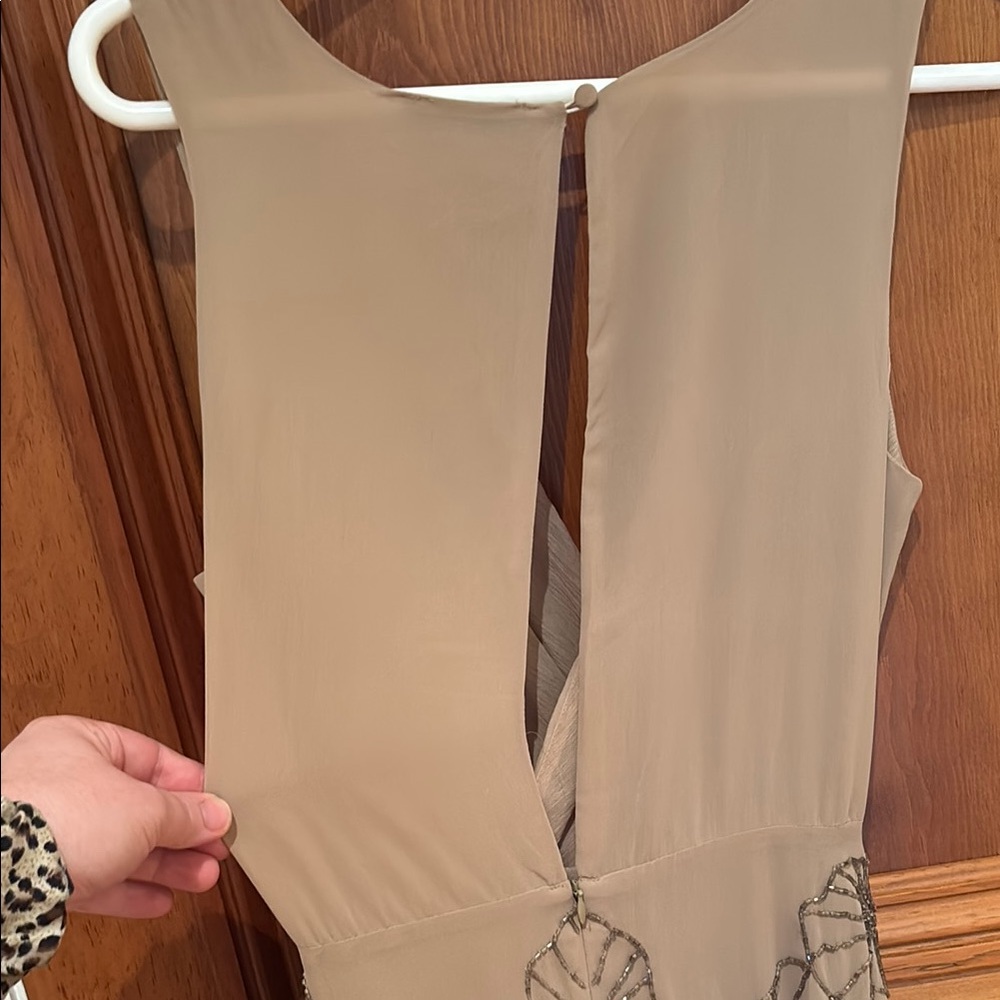 Elegant Tan Sleeveless Dress - Picture 4 of 5